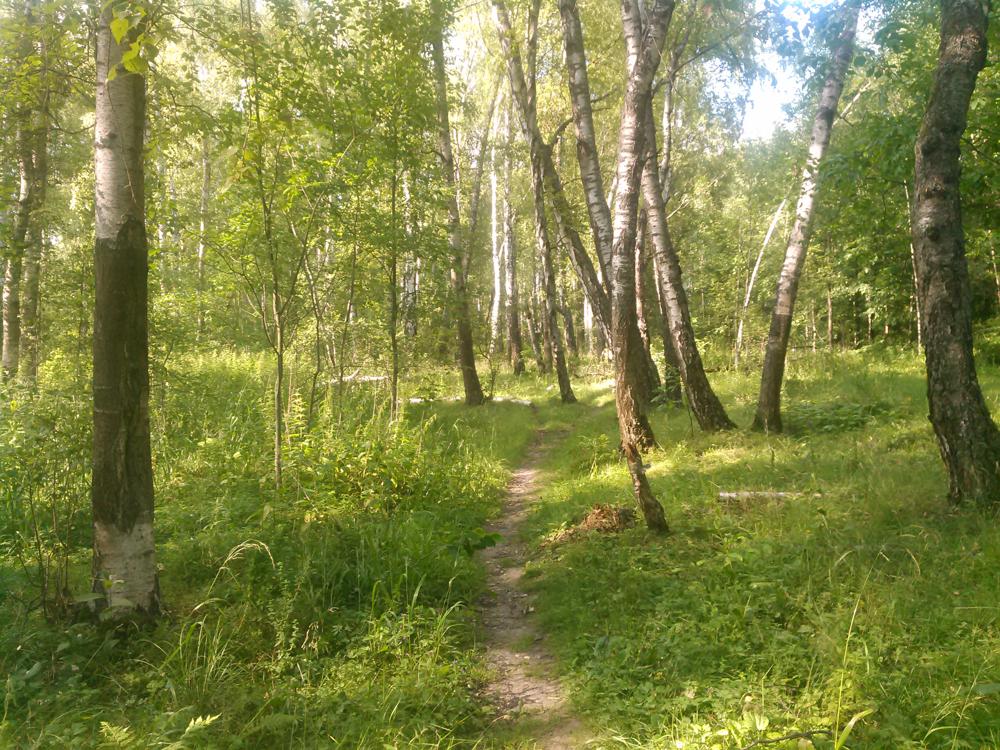 Пример фотографии 4