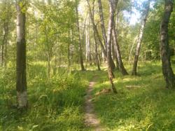 Пример фотографии 4