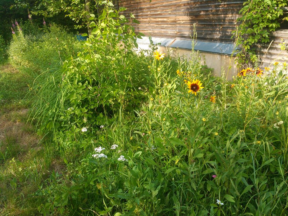 Пример фотографии 11