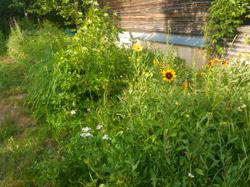 Пример фотографии 11