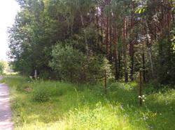 Пример фотографии 7