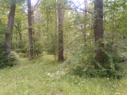 Пример фотографии 5