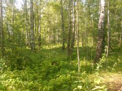 Пример фотографии 10