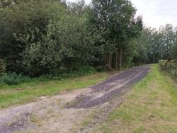 Дорога вдоль леса от участка 27